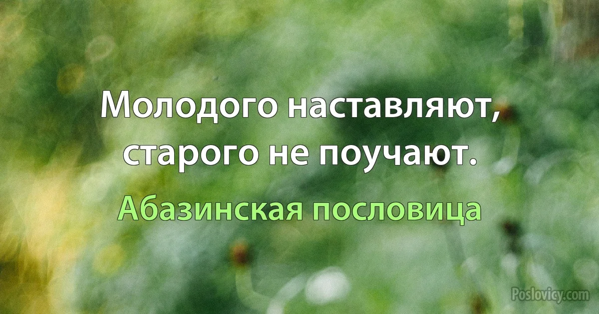 Молодого наставляют, старого не поучают. (Абазинская пословица)