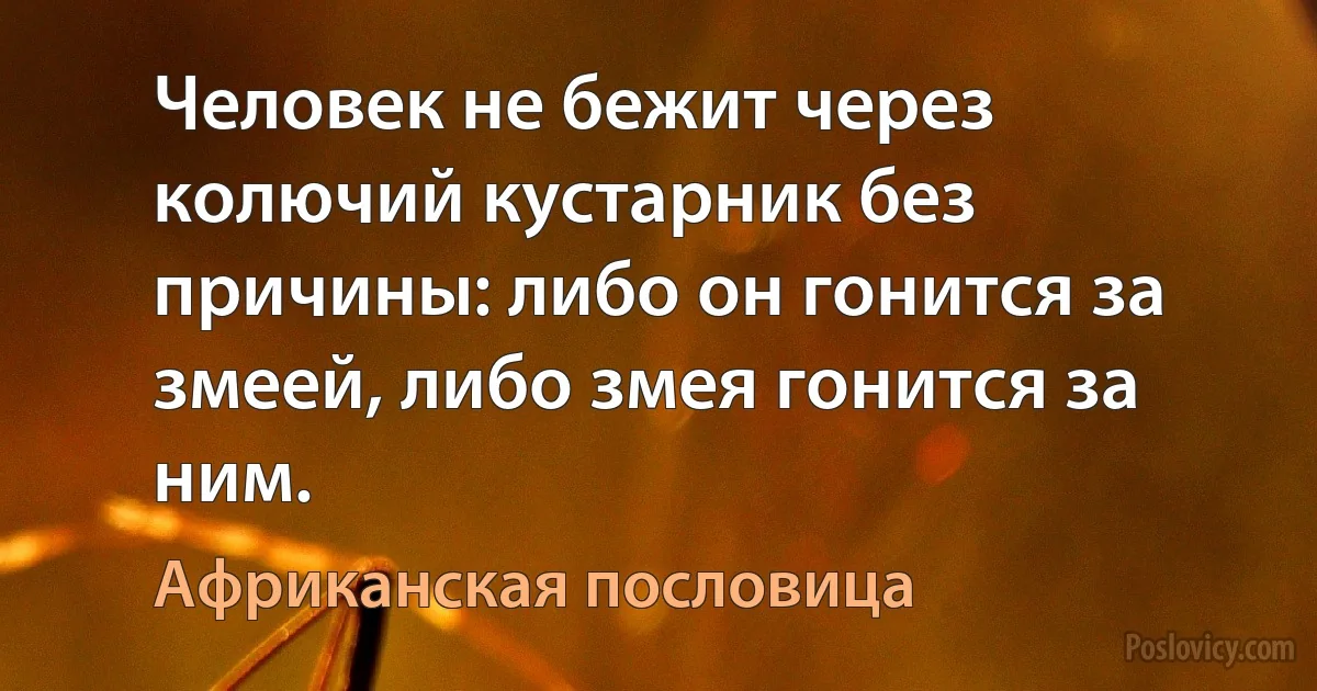 Человек не бежит через колючий кустарник без причины: либо он гонится за змеей, либо змея гонится за ним. (Африканская пословица)