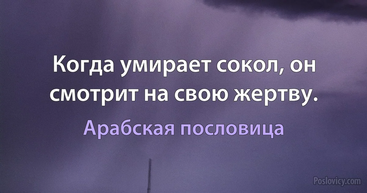 Когда умирает сокол, он смотрит на свою жертву. (Арабская пословица)