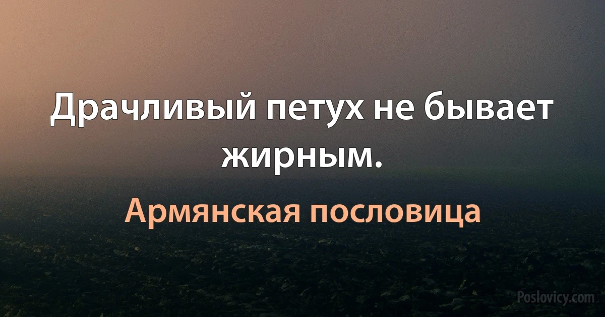 Драчливый петух не бывает жирным. (Армянская пословица)