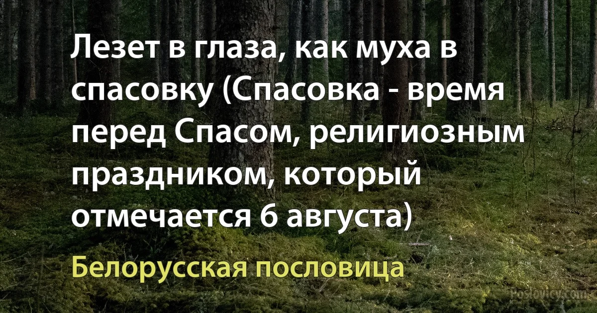 Лезет в глаза, как муха в спасовку (Спасовка - время перед Спасом, религиозным праздником, который отмечается 6 августа) (Белорусская пословица)