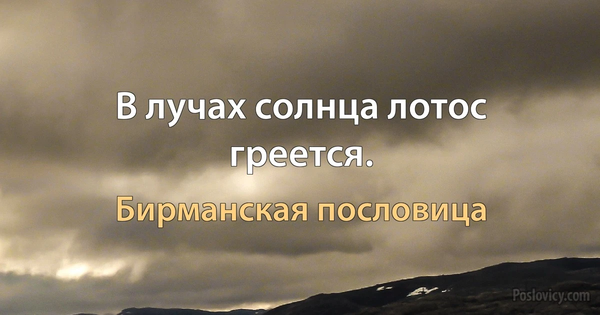 В лучах солнца лотос греется. (Бирманская пословица)