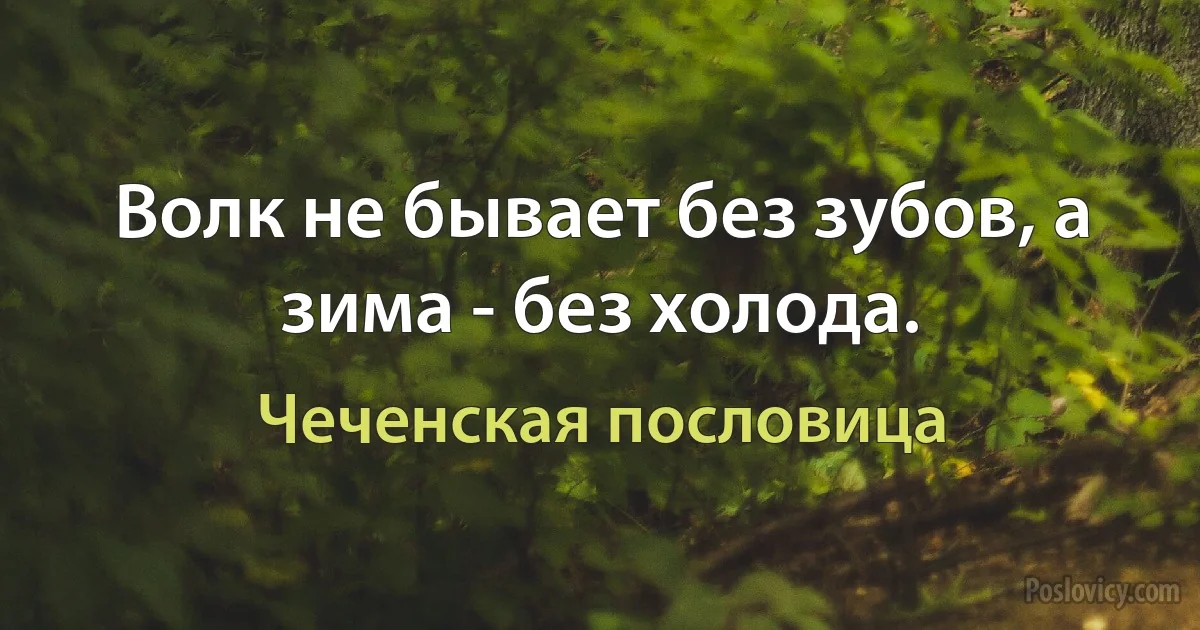 Волк не бывает без зубов, а зима - без холода. (Чеченская пословица)