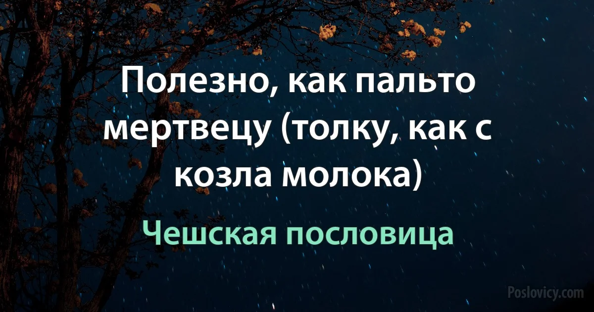 Полезно, как пальто мертвецу (толку, как с козла молока) (Чешская пословица)