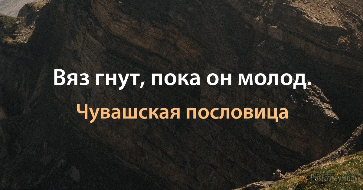 Вяз гнут, пока он молод. (Чувашская пословица)