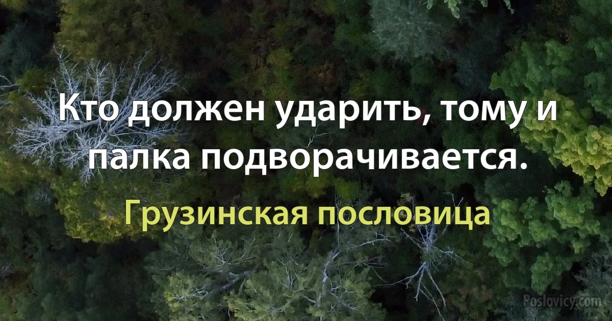 Кто должен ударить, тому и палка подворачивается. (Грузинская пословица)