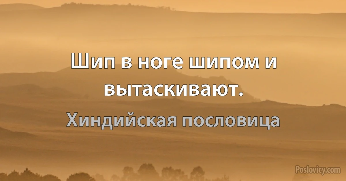 Шип в ноге шипом и вытаскивают. (Хиндийская пословица)