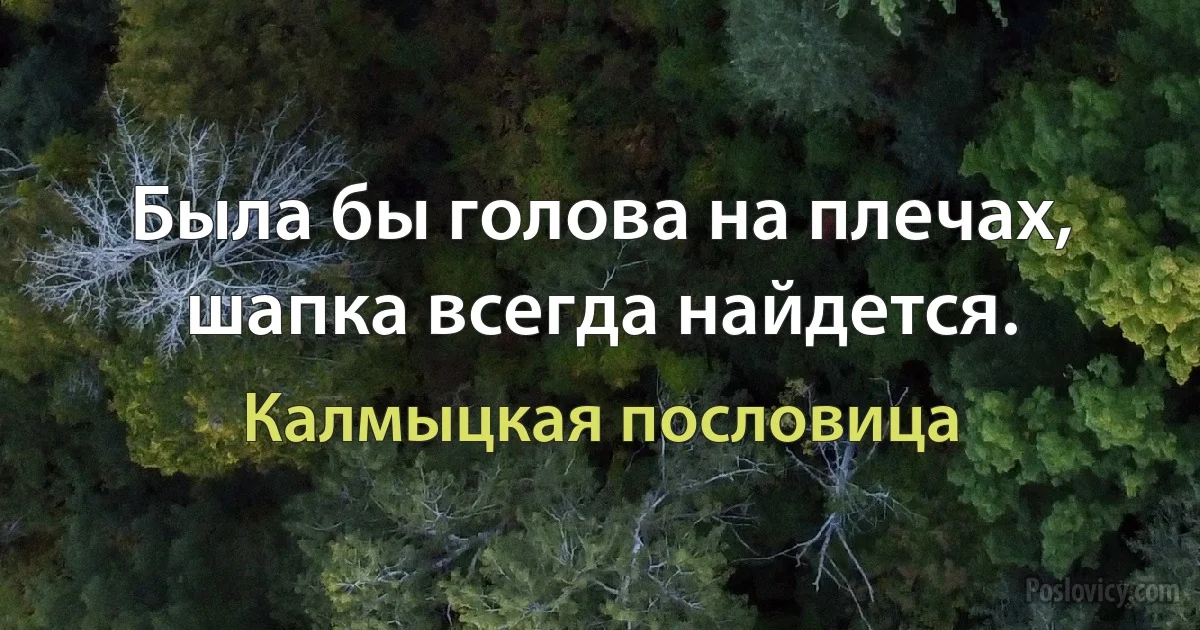 Была бы голова на плечах, шапка всегда найдется. (Калмыцкая пословица)