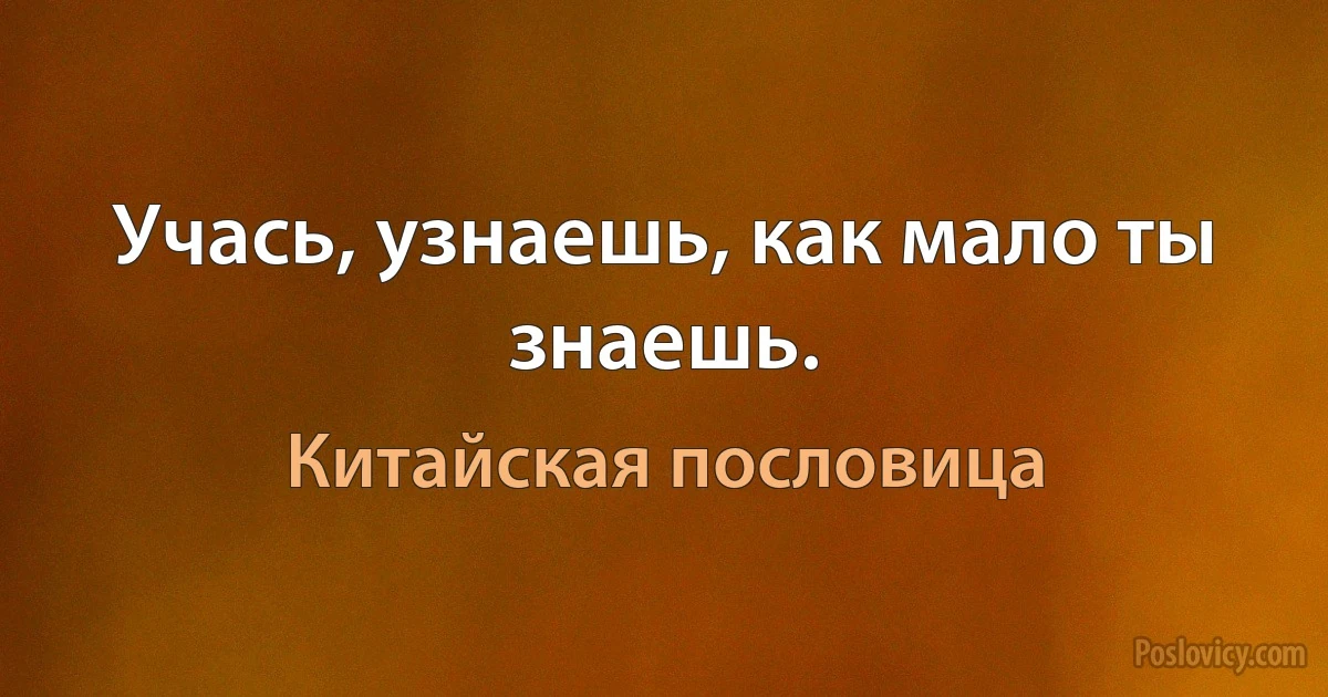 Учась, узнаешь, как мало ты знаешь. (Китайская пословица)