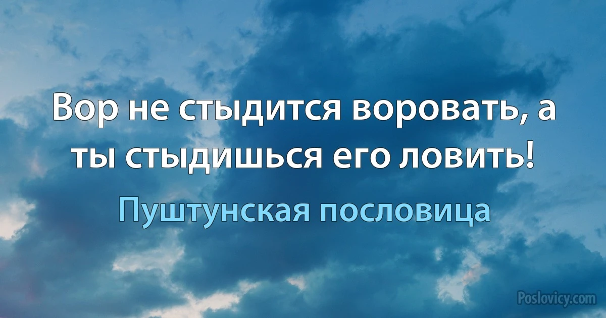 Вор не стыдится воровать, а ты стыдишься его ловить! (Пуштунская пословица)