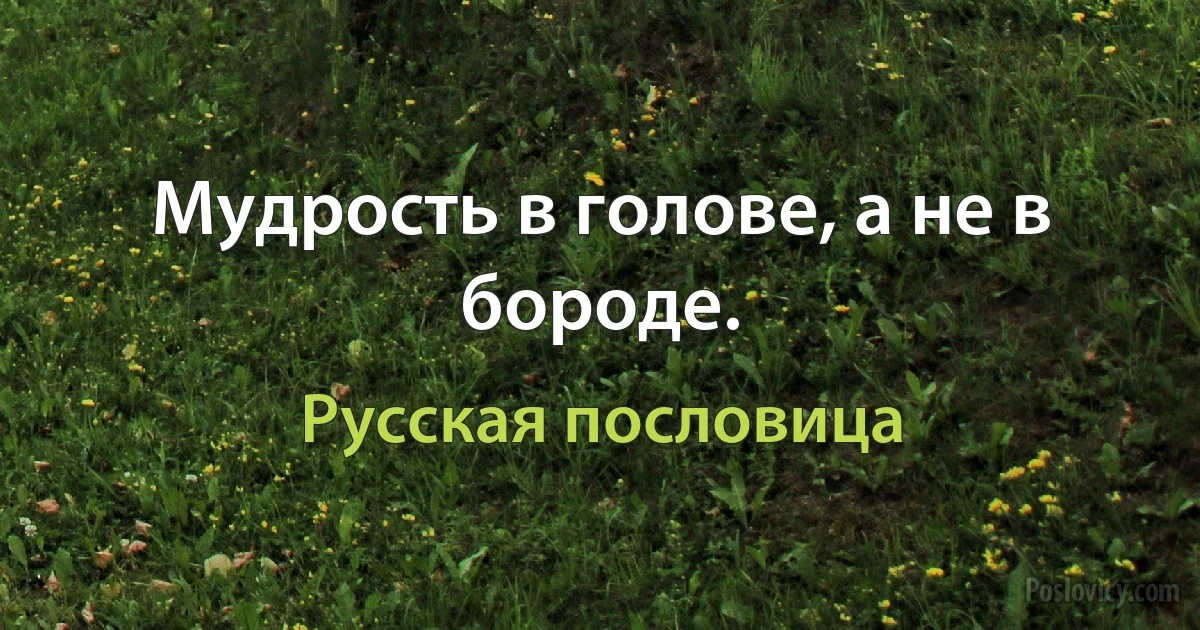 Мудрость в голове, а не в бороде. (Русская пословица)