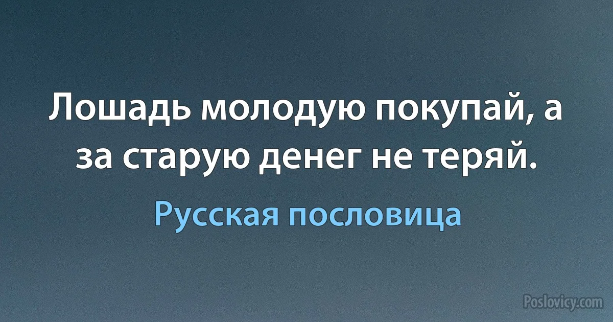 Лошадь молодую покупай, а за старую денег не теряй. (Русская пословица)