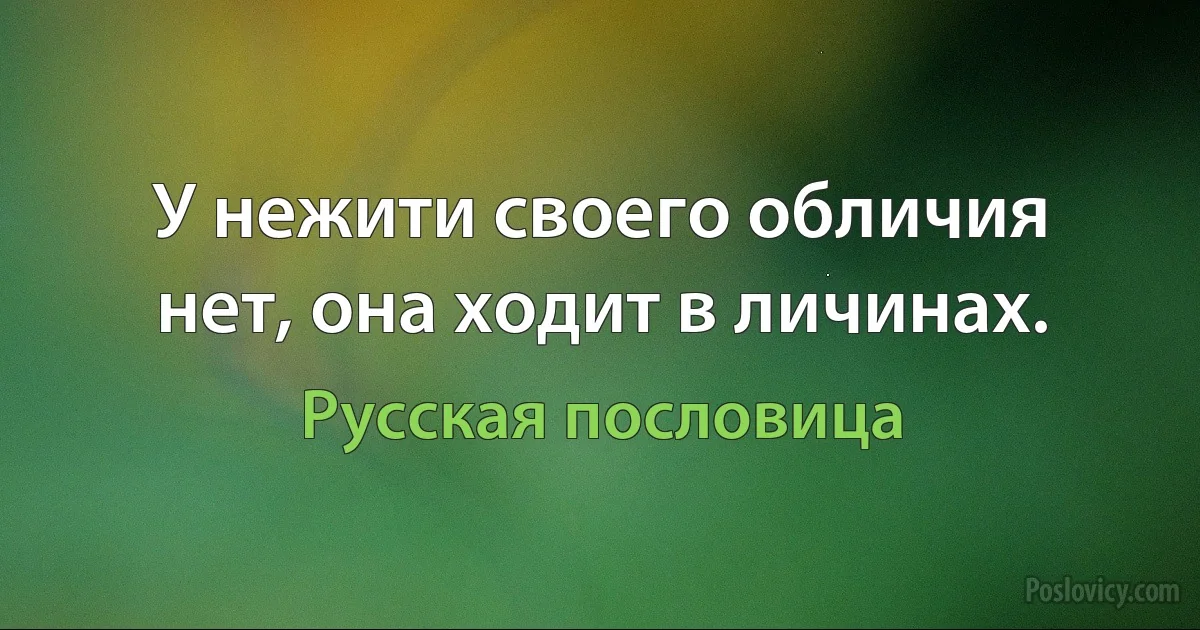 У нежити своего обличия нет, она ходит в личинах. (Русская пословица)