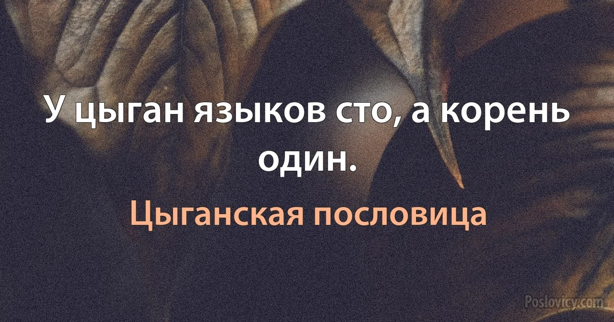 У цыган языков сто, а корень один. (Цыганская пословица)