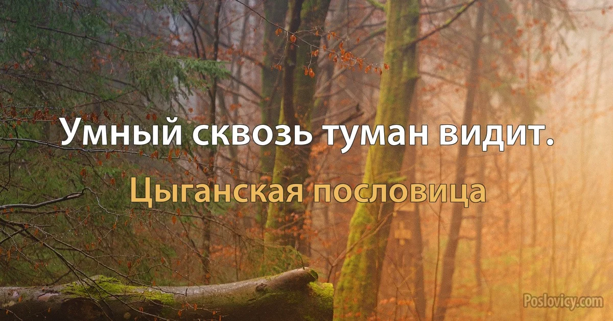 Умный сквозь туман видит. (Цыганская пословица)