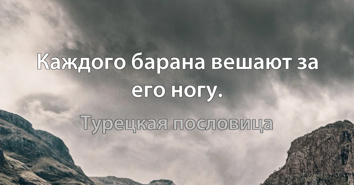 Каждого барана вешают за его ногу. (Турецкая пословица)