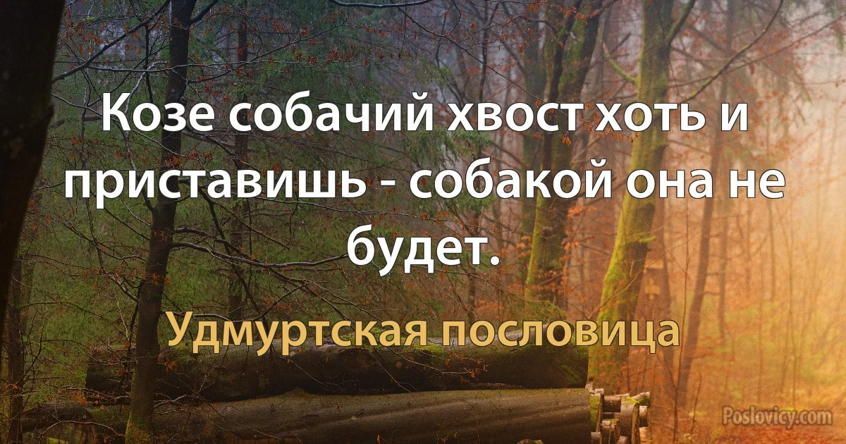 Козе собачий хвост хоть и приставишь - собакой она не будет. (Удмуртская пословица)