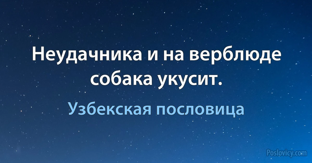 Неудачника и на верблюде собака укусит. (Узбекская пословица)