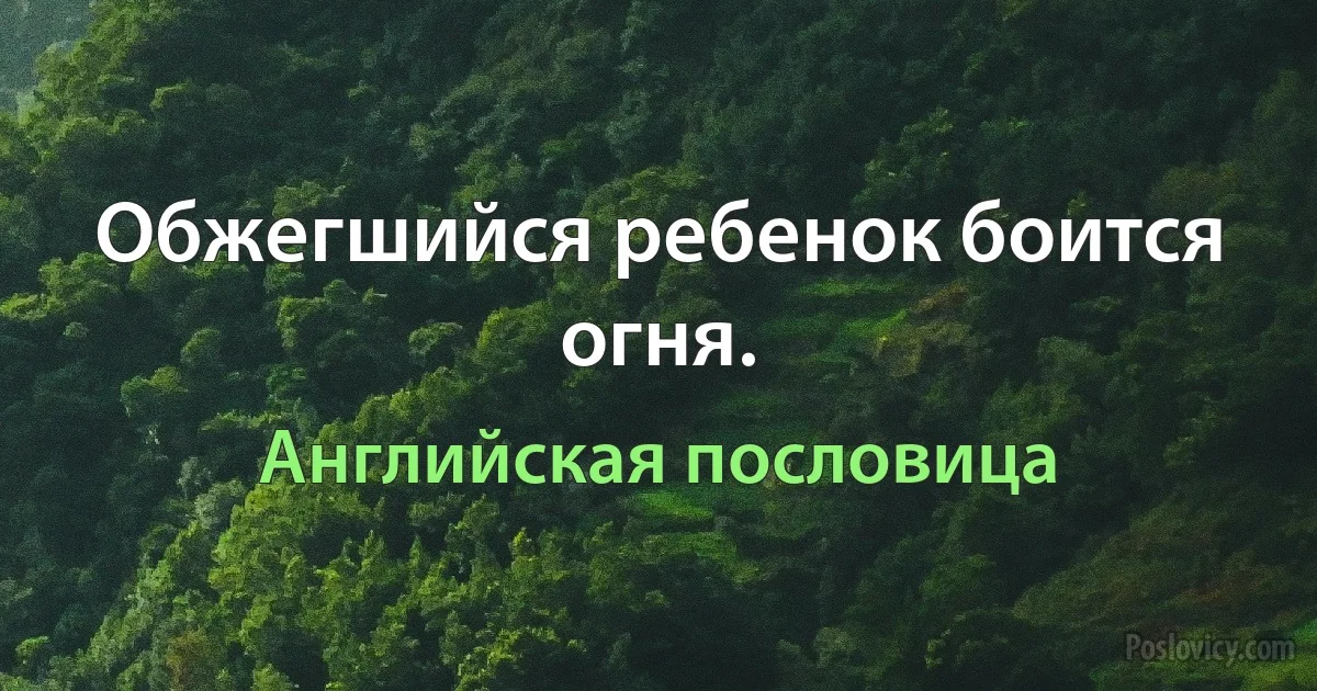 Обжегшийся ребенок боится огня. (Английская пословица)