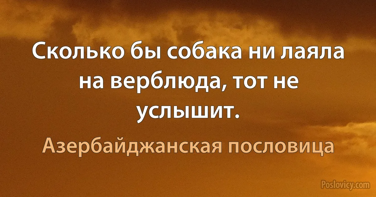 Сколько бы собака ни лаяла на верблюда, тот не услышит. (Азербайджанская пословица)