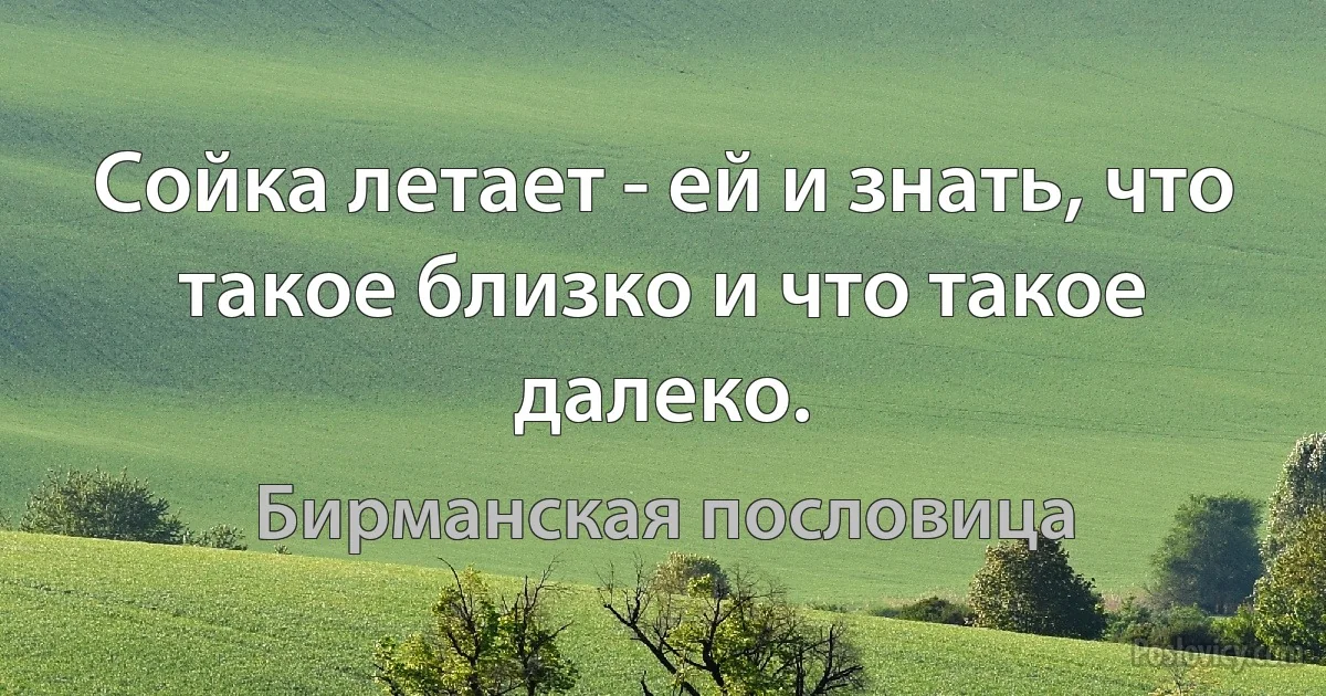 Сойка летает - ей и знать, что такое близко и что такое далеко. (Бирманская пословица)