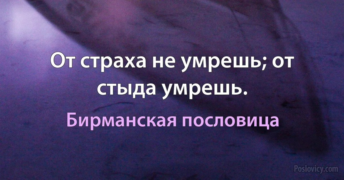 От страха не умрешь; от стыда умрешь. (Бирманская пословица)