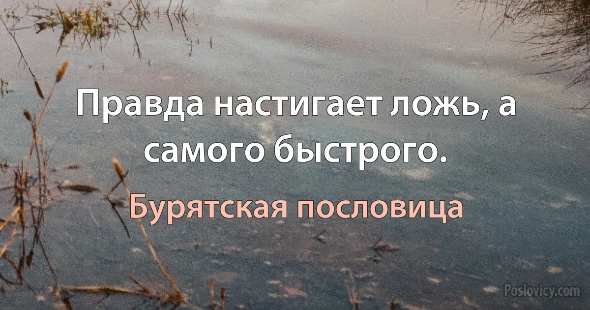 Правда настигает ложь, а самого быстрого. (Бурятская пословица)