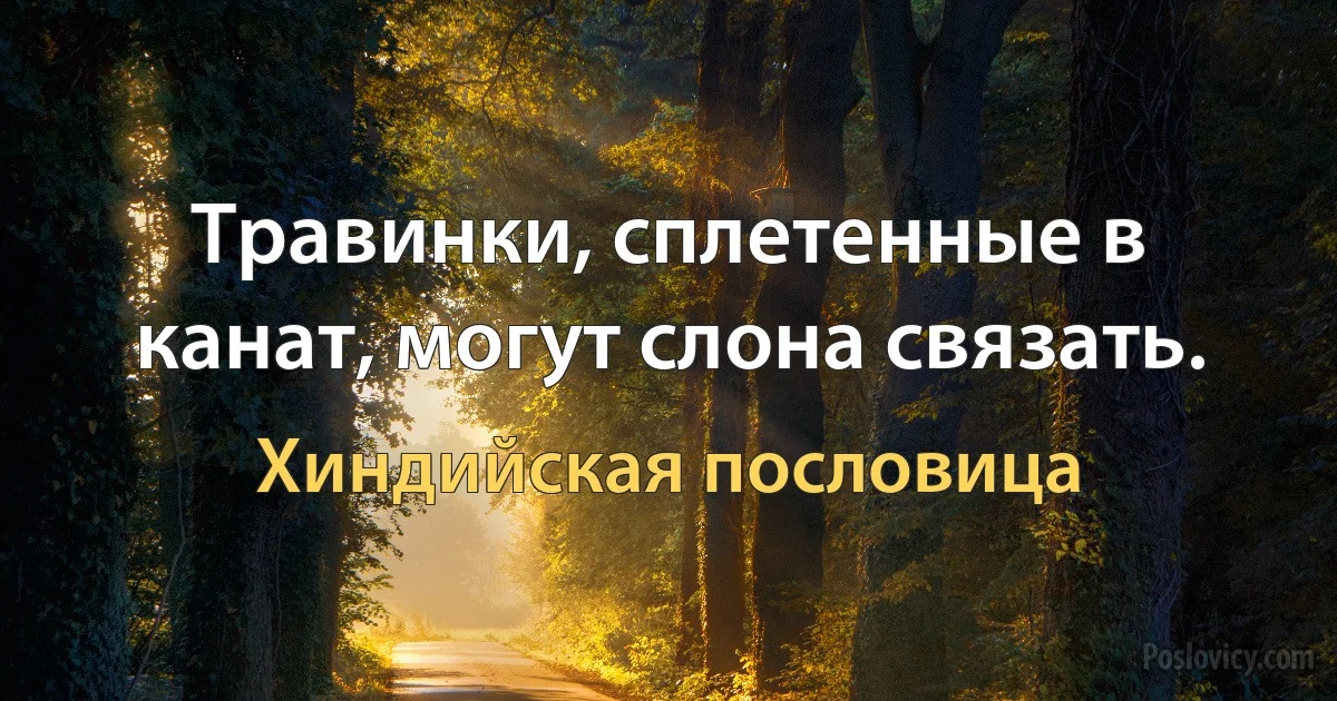 Травинки, сплетенные в канат, могут слона связать. (Хиндийская пословица)