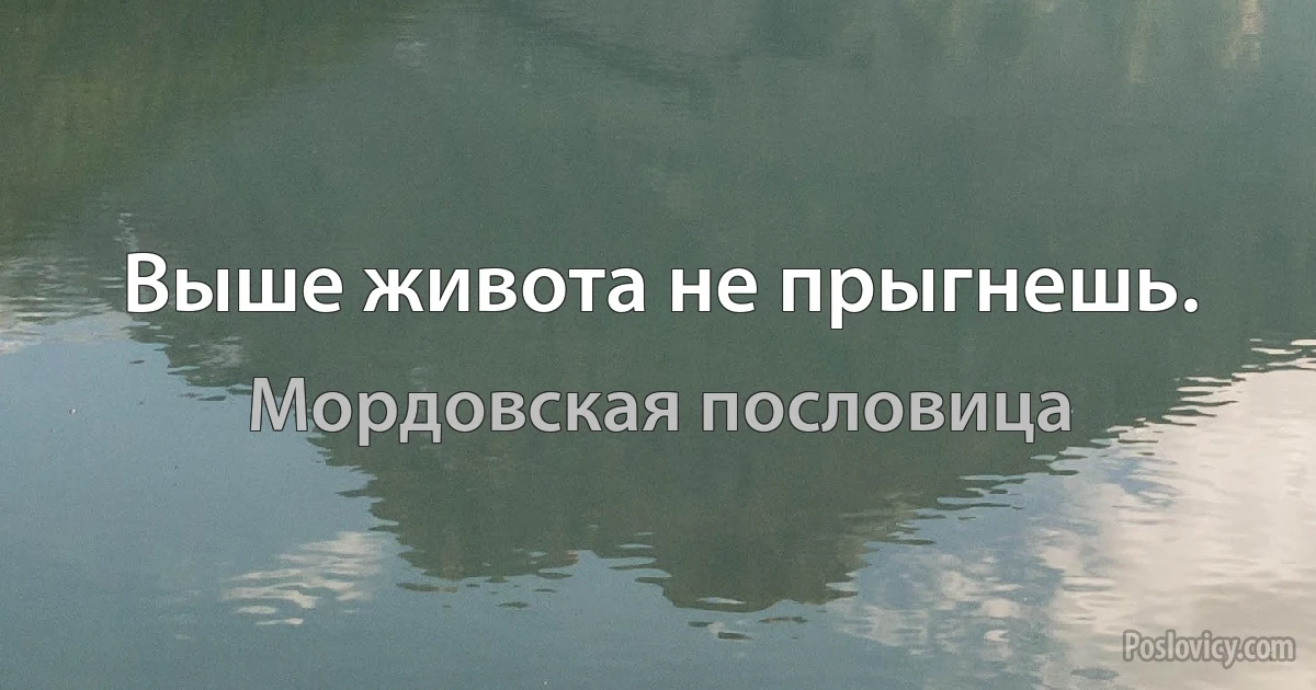 Выше живота не прыгнешь. (Мордовская пословица)