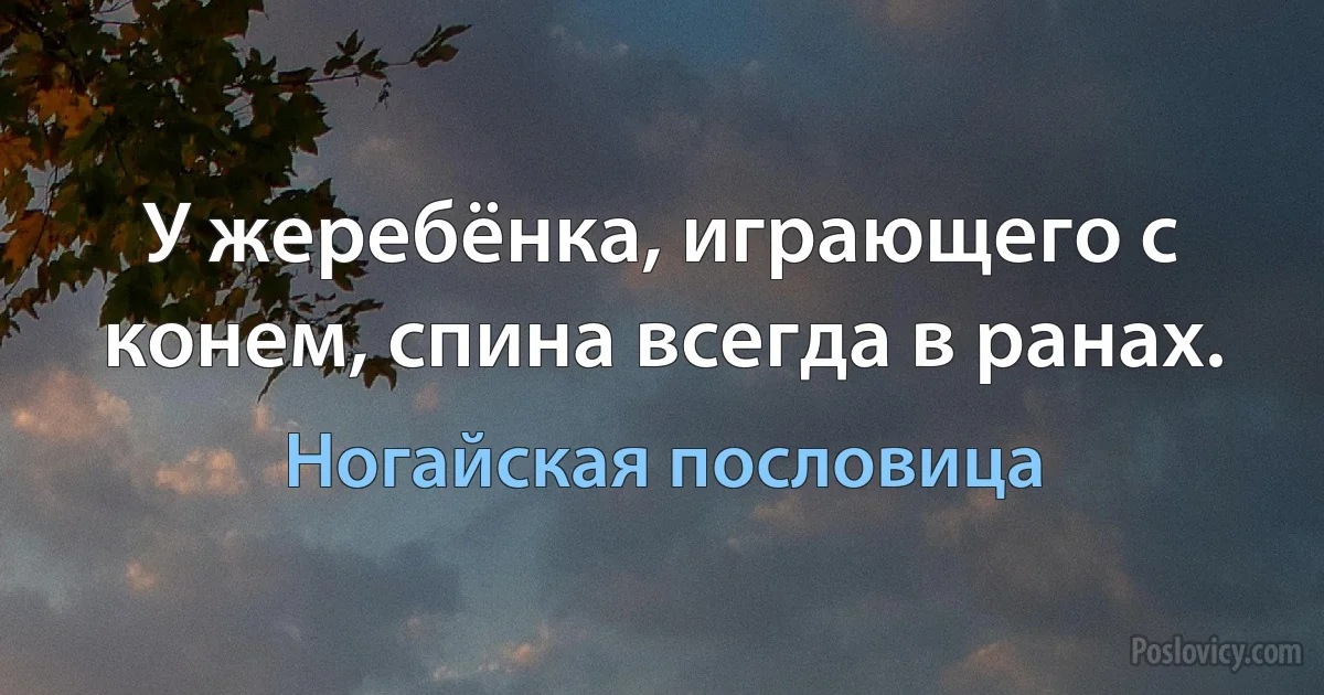 У жеребёнка, играющего с конем, спина всегда в ранах. (Ногайская пословица)