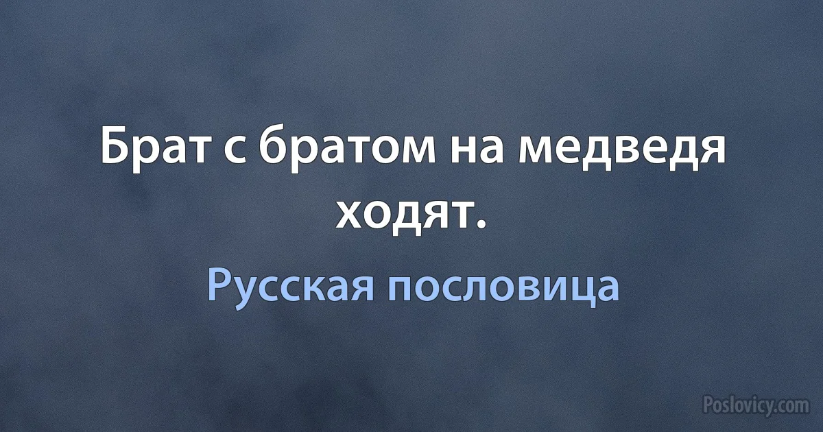 Брат с братом на медведя ходят. (Русская пословица)