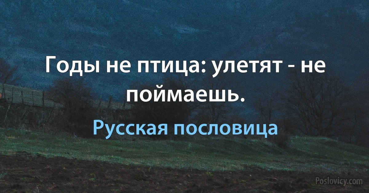 Годы не птица: улетят - не поймаешь. (Русская пословица)