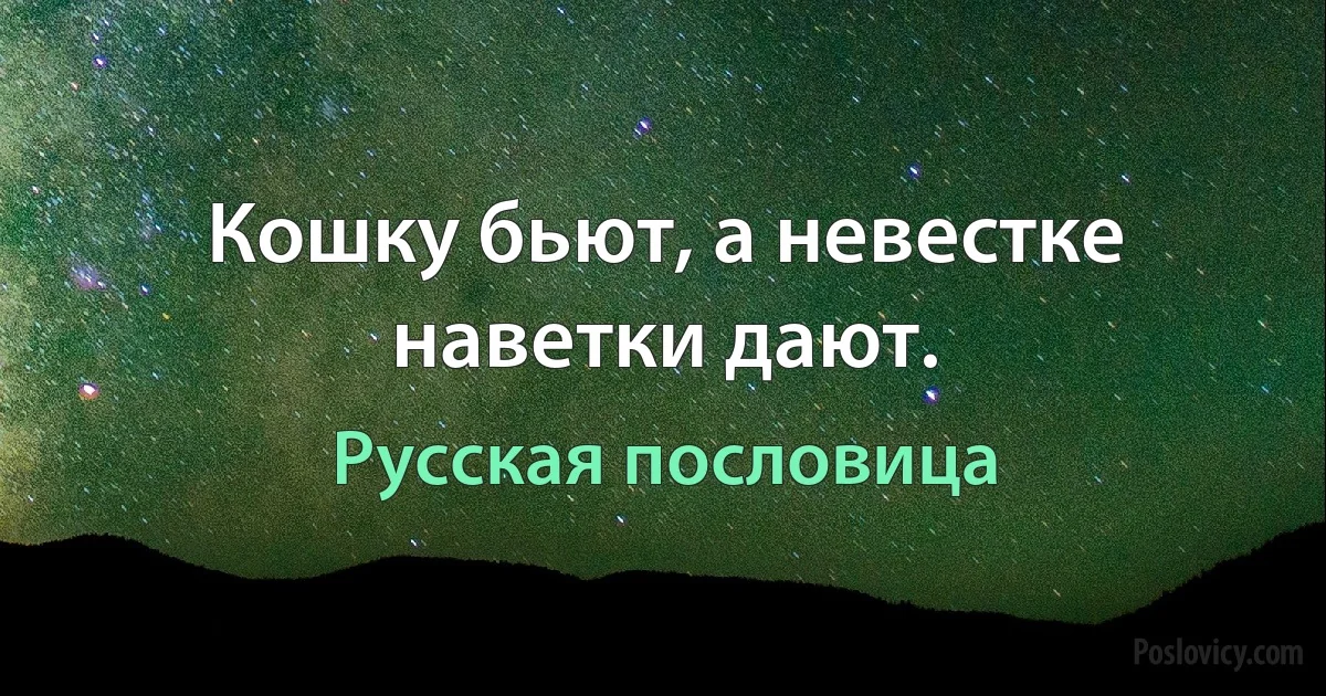 Кошку бьют, а невестке наветки дают. (Русская пословица)