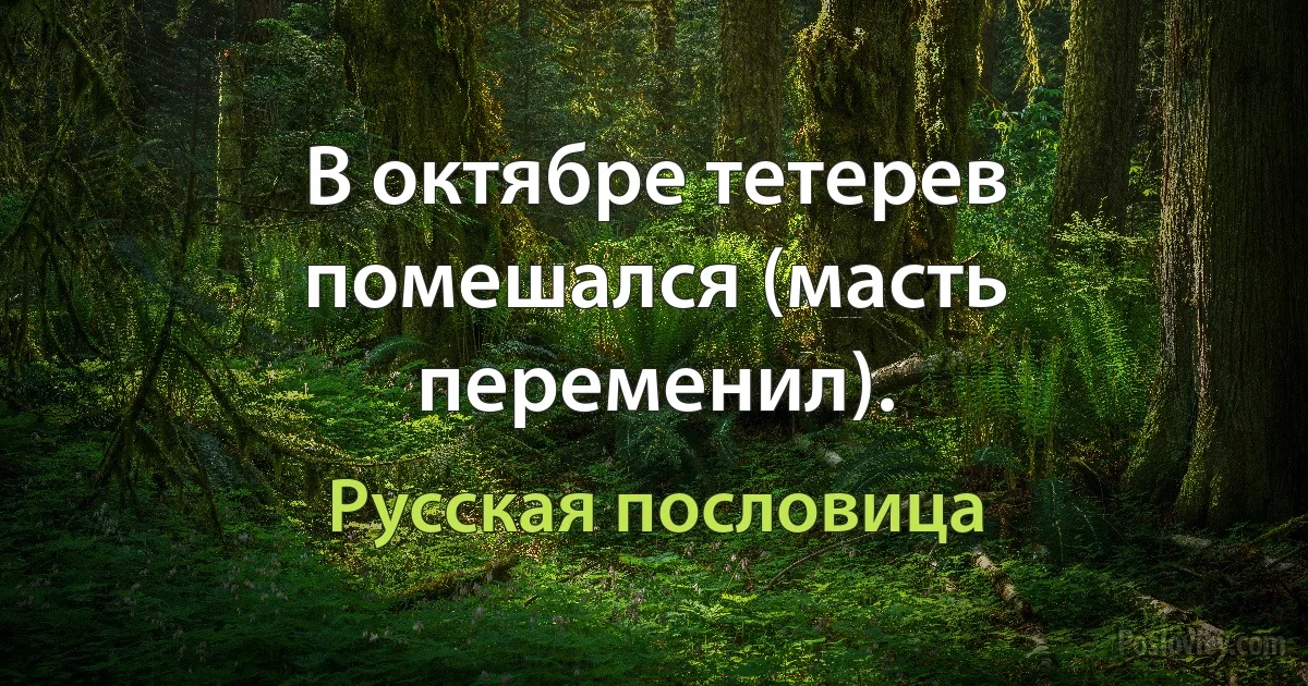 В октябре тетерев помешался (масть переменил). (Русская пословица)