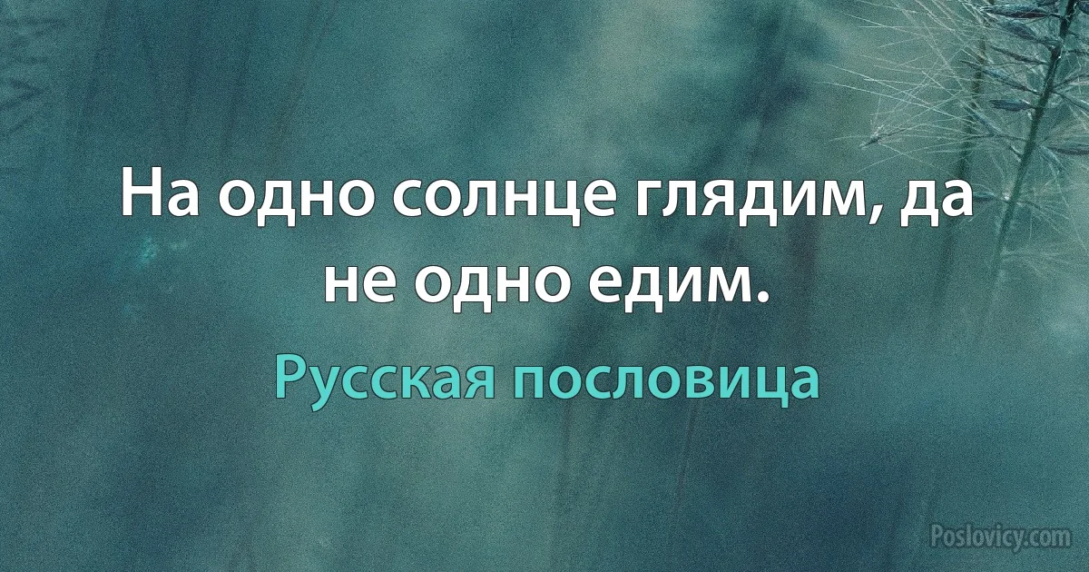 На одно солнце глядим, да не одно едим. (Русская пословица)