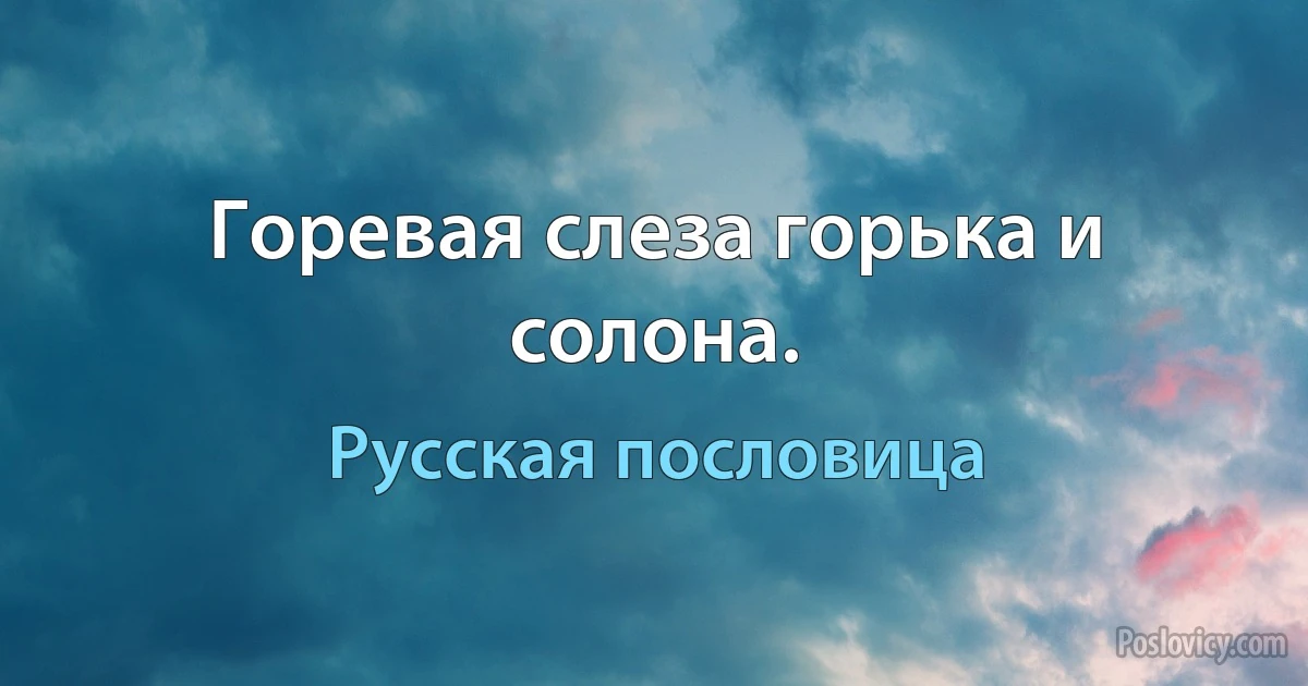 Горевая слеза горька и солона. (Русская пословица)