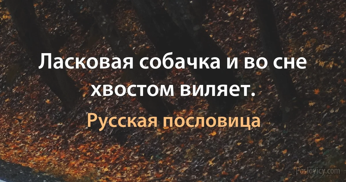 Ласковая собачка и во сне хвостом виляет. (Русская пословица)