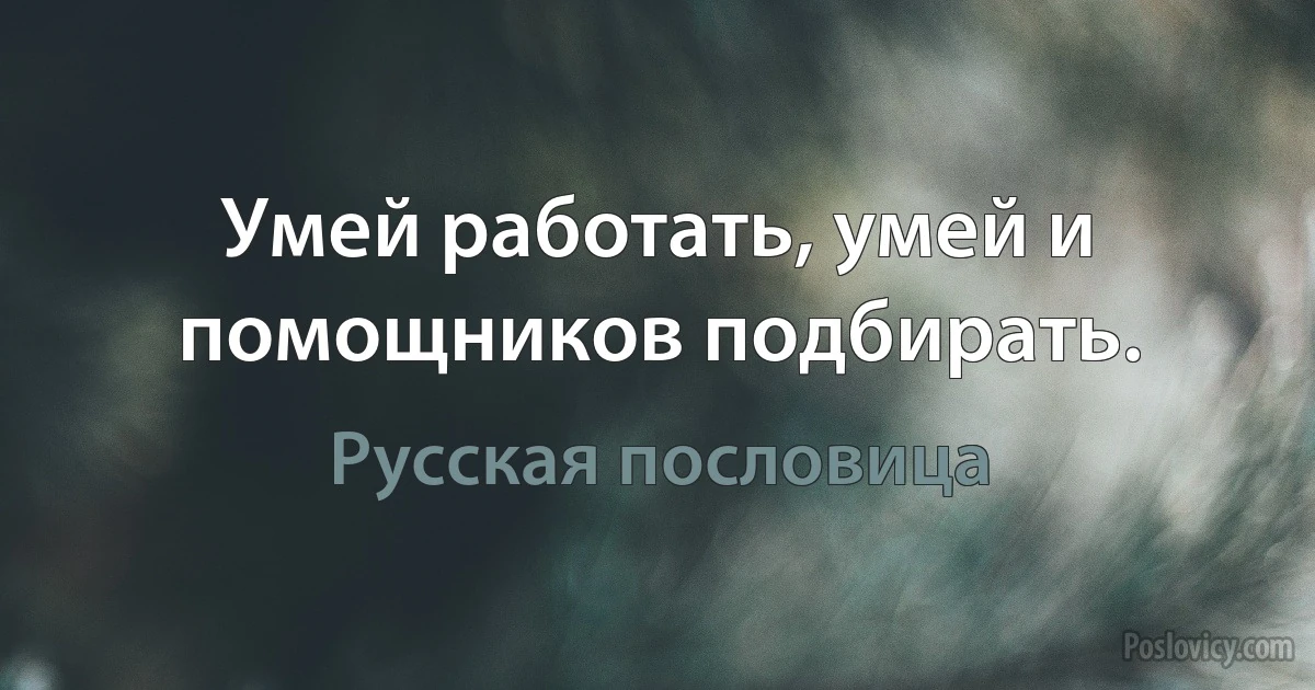 Умей работать, умей и помощников подбирать. (Русская пословица)