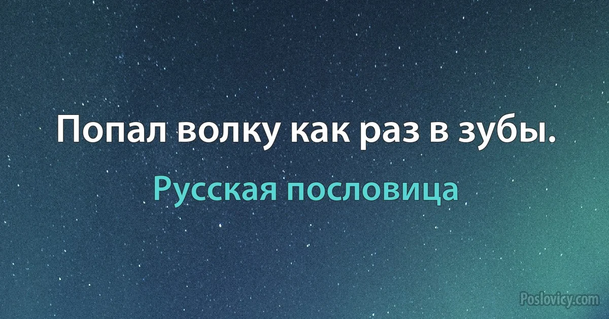 Попал волку как раз в зубы. (Русская пословица)