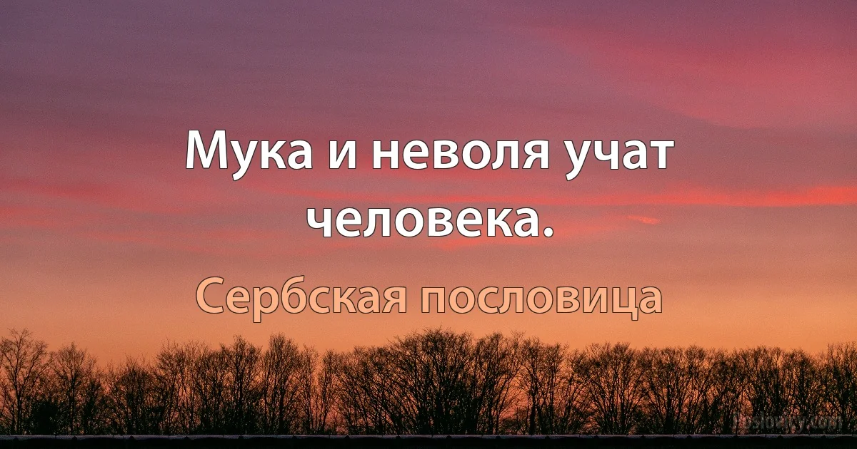 Мука и неволя учат человека. (Сербская пословица)