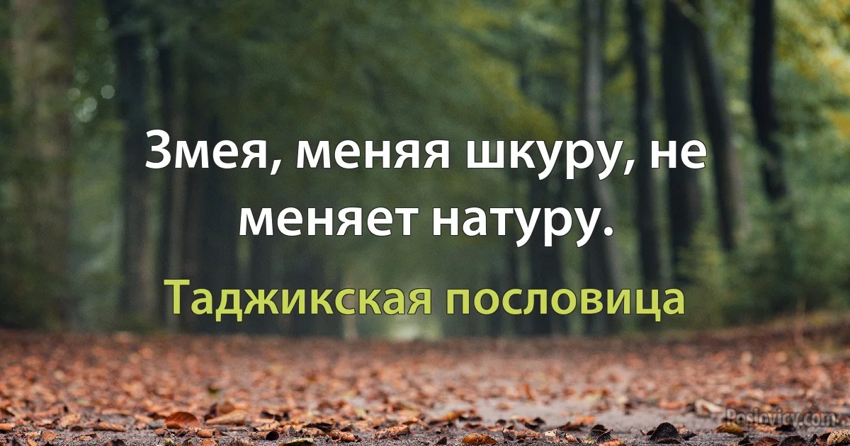 Змея, меняя шкуру, не меняет натуру. (Таджикская пословица)