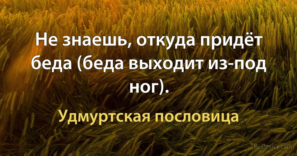 Не знаешь, откуда придёт беда (беда выходит из-под ног). (Удмуртская пословица)