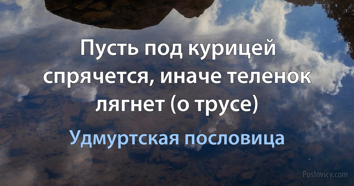 Пусть под курицей спрячется, иначе теленок лягнет (о трусе) (Удмуртская пословица)