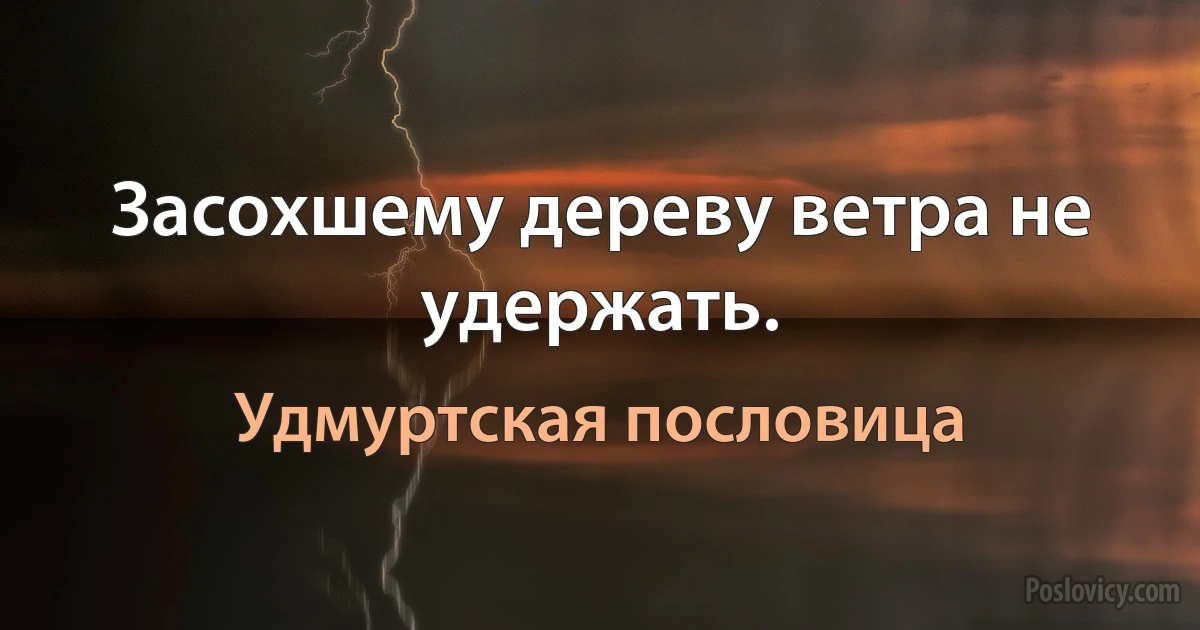 Засохшему дереву ветра не удержать. (Удмуртская пословица)