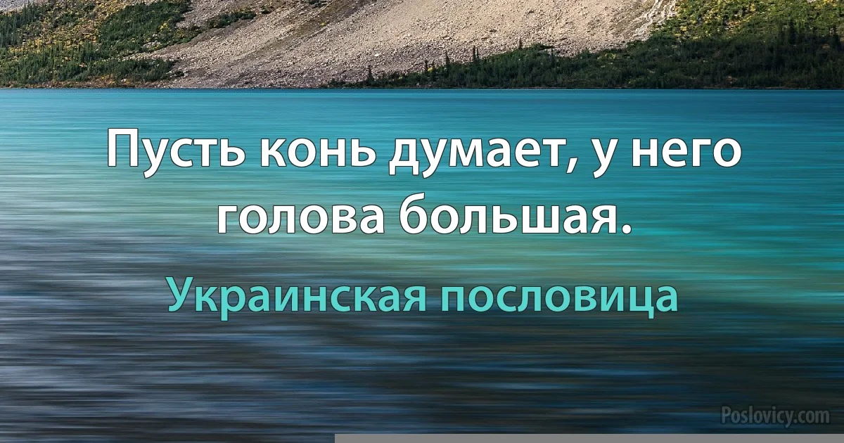 Пусть конь думает, у него голова большая. (Украинская пословица)