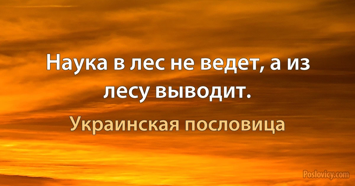 Наука в лес не ведет, а из лесу выводит. (Украинская пословица)