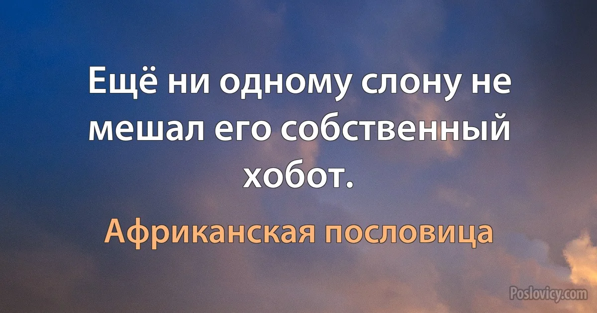 Ещё ни одному слону не мешал его собственный хобот. (Африканская пословица)