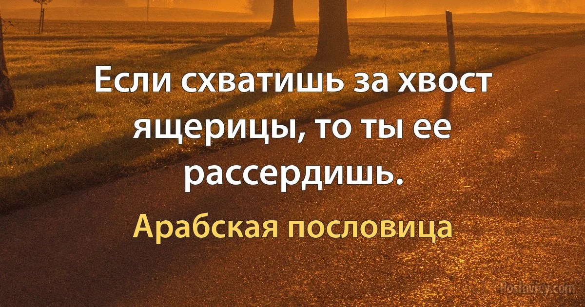 Если схватишь за хвост ящерицы, то ты ее рассердишь. (Арабская пословица)