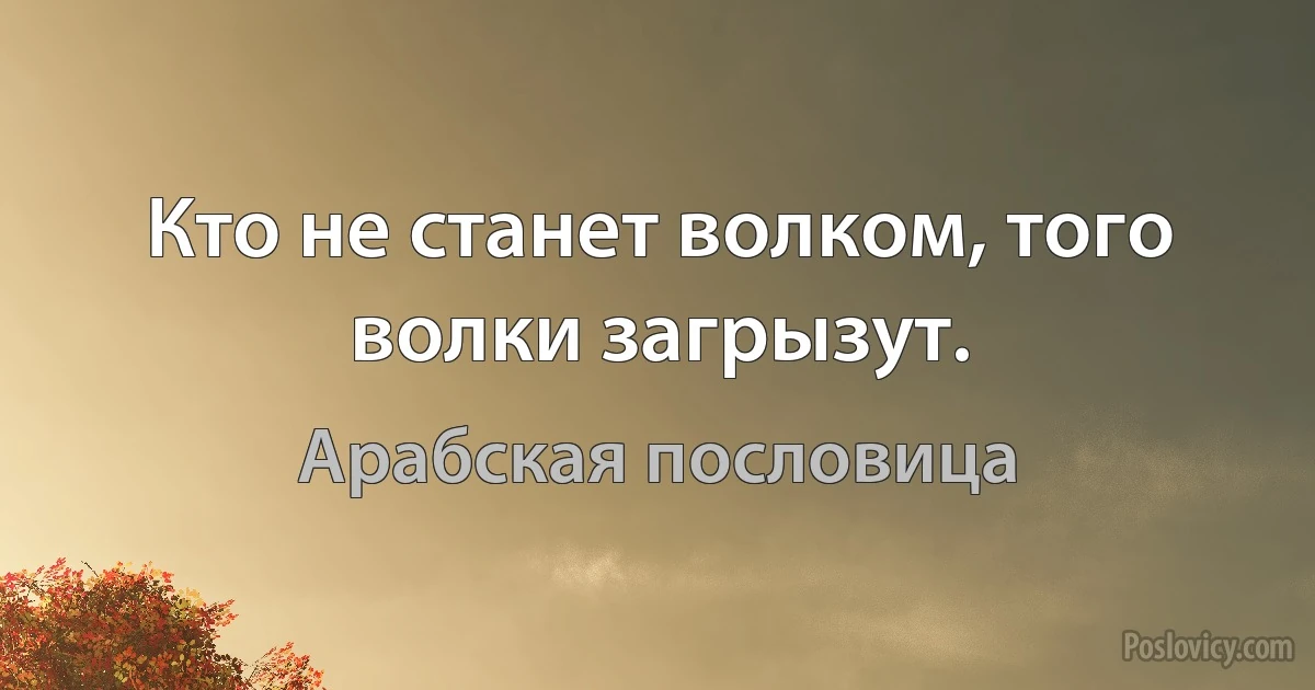 Кто не станет волком, того волки загрызут. (Арабская пословица)