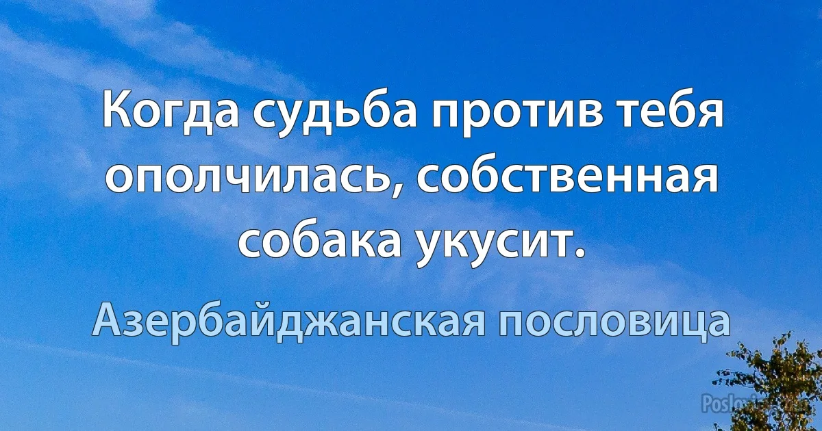 Когда судьба против тебя ополчилась, собственная собака укусит. (Азербайджанская пословица)